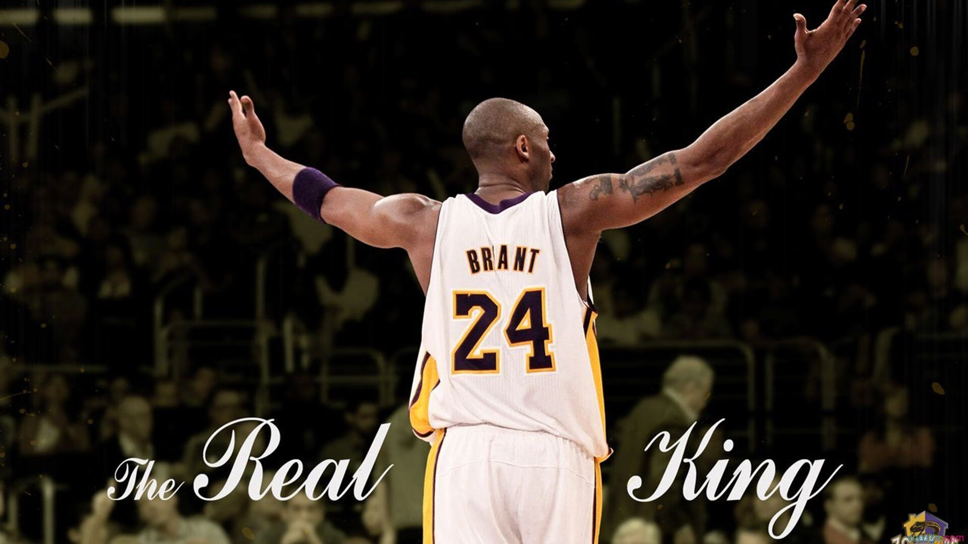 jiuyou.com-澳大利亚NBL联赛新赛季火热开启，澳大利亚nbl联赛最新排名