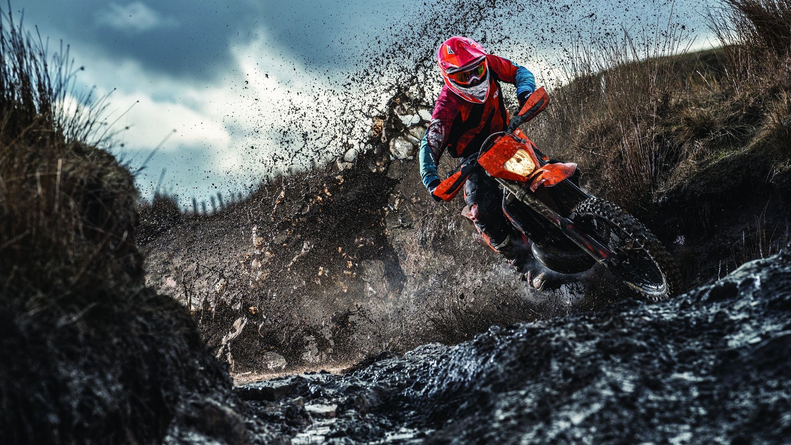 NBA赛季MVP竞争形势分析，nba新赛季mvp最新排名